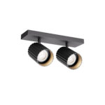 Mini reflektor DELPHI PR 2X7W GU10 H100 SBK