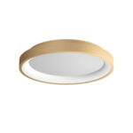 Stropna svetilka ICONIC PL LED 30W 3000/4000 GD