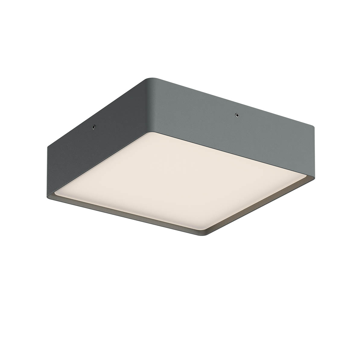 2d_image_91050-dali.jpg Stropna svetilka NOX PL LED 21W DALI IP65 CCT2700K-3000K DG (Sq) (5.1.2) 220MM - slika 1