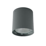 Stropna svetilka XIA PL LED 19W IP65 4000K DG (5.1.2) Ro