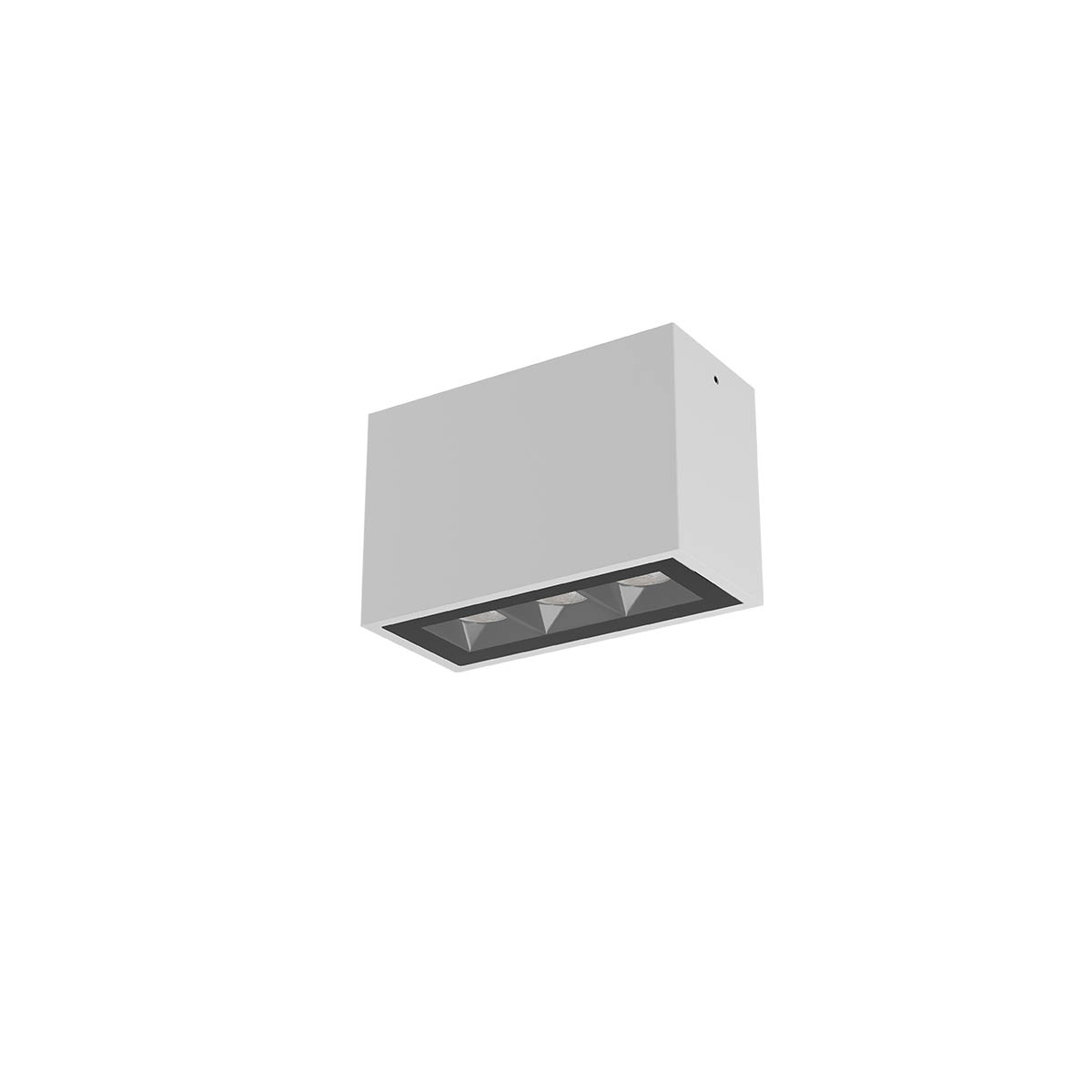 2d_image_91238.jpg Stropna svetilka AROOS PL LED 9W IP65 SWH 3000K - slika 1
