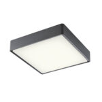 Stropna svetilka MARINA PL LED SMD 16W IP65 DG 3000K