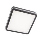Stropna svetilka ISOLA PL LED 24W IP54 DG 3000/6500K TUYA (Sq)