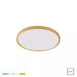 Stropna svetilka Cami zlata WM-BP1108-S-G