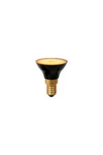 LED žarnica G45 2491701