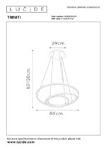 Moderni lestenec TRINITI 2460721
