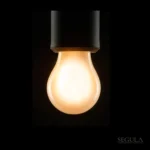 LED žarnica A15 mala matirana - slika 2