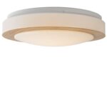 Stropna LED svetilka DIMY 2791481