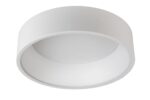Stropna LED svetilka TALOWE LED 2460233