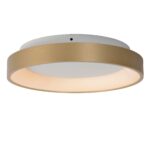 Stropna LED svetilka VIDAL 2460820