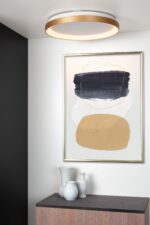 Stropna LED svetilka VIDAL 2460837