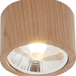 Stropna svetilka OAK 6607989