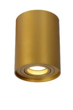 Stropna svetilka TUBE 2221483