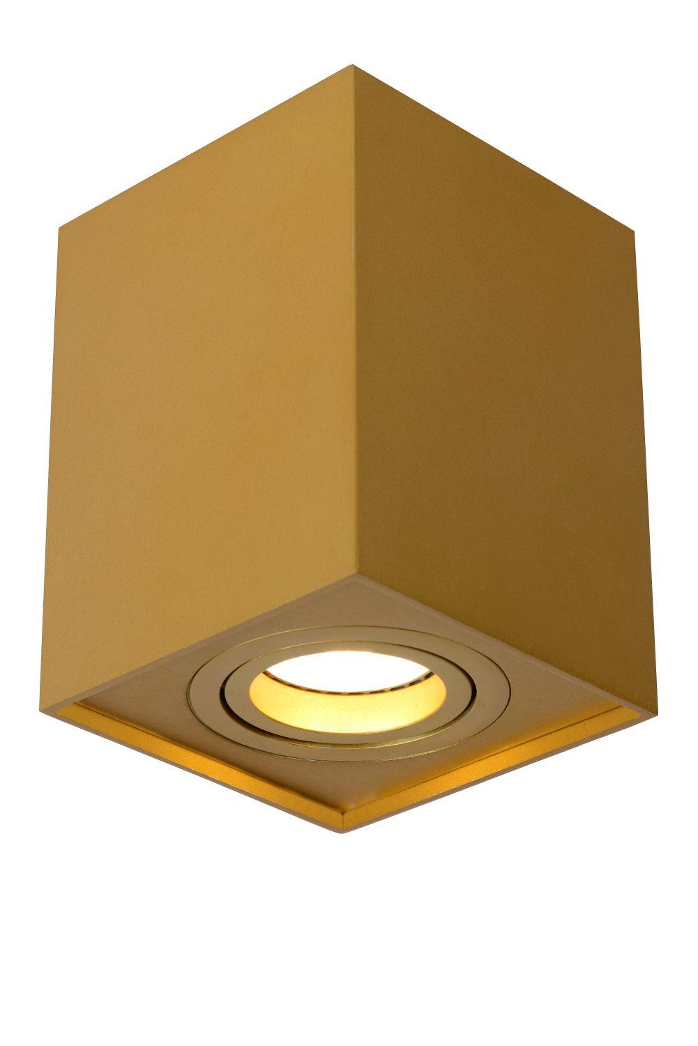 Stropna svetilka TUBE 2221490